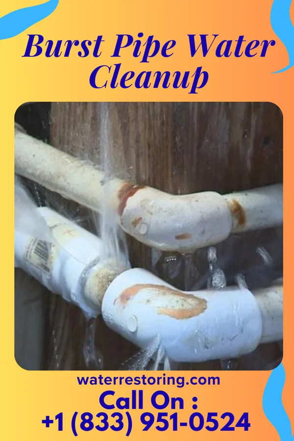 Burst Pipe Water Cleanup in Rye Brook, NY