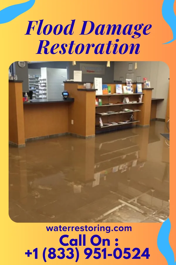 Flood Damage Restoration in Rye Brook, NY