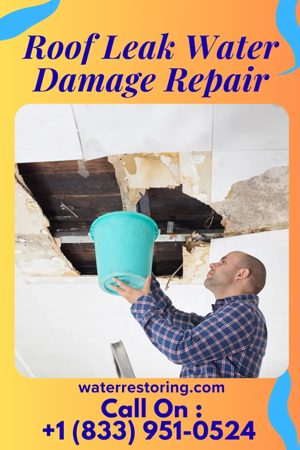 Roof Leak Water Damage Repair in Rye Brook, NY