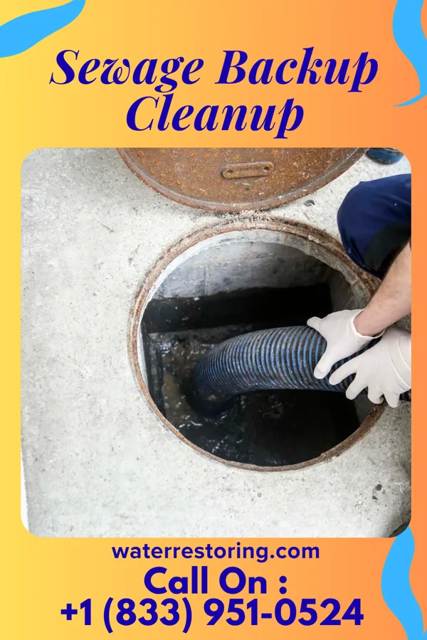 Sewage Backup Cleanup in Rye Brook, NY